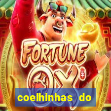 coelhinhas do brasil recife